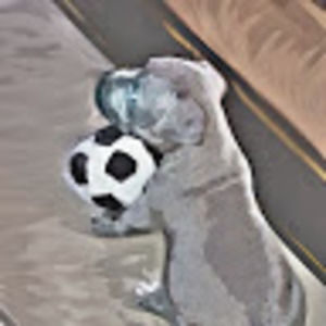 Meet your Posher, Pharaoh